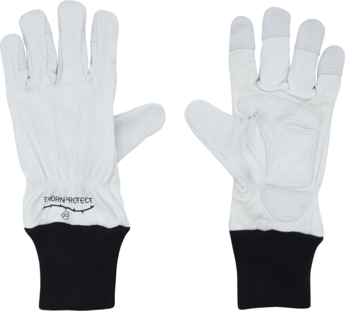 Barb Thorn Protect Gloves