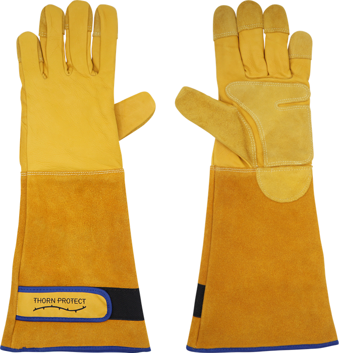 Spike Thorn Protect Gauntlets