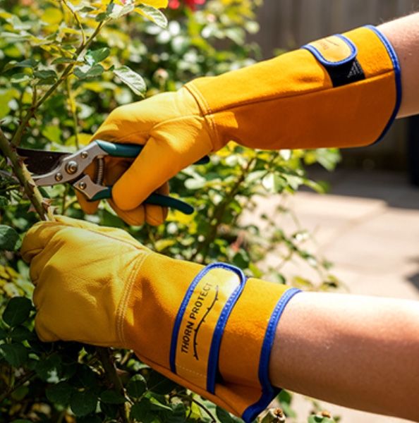 Spike Thorn Protect Gauntlets