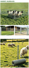 Garden Fence