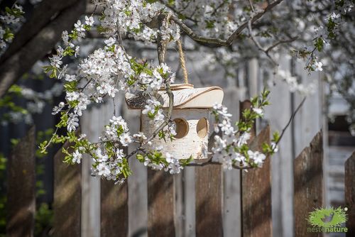 Bird feeder