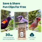 Birdfy feeder Ebony
