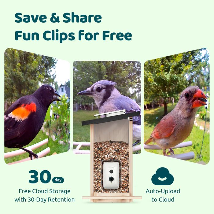 Birdfy feeder Ebony
