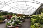 Year round plants display - Coppice Garden Centre