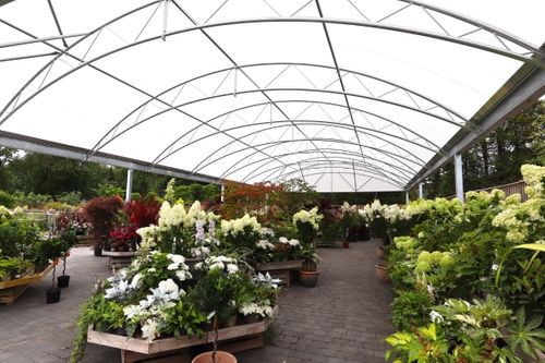 Year round plants display - Coppice Garden Centre