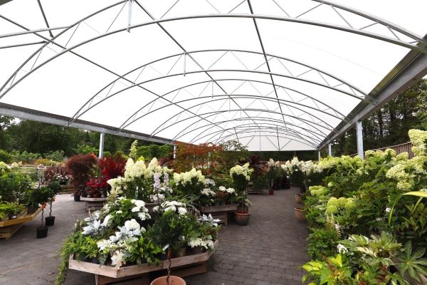 Year round plants display - Coppice Garden Centre