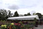 Year round plants display - Coppice Garden Centre