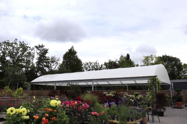 Year round plants display - Coppice Garden Centre