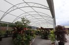 Year round plants display - Coppice Garden Centre