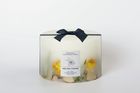 French Connection Botanical Infused Lemon, Neroli & Cedarwood Candle