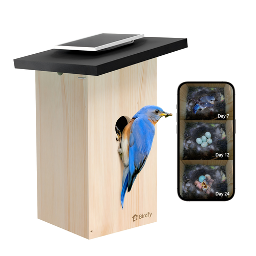 Birdfy bird house Ebony