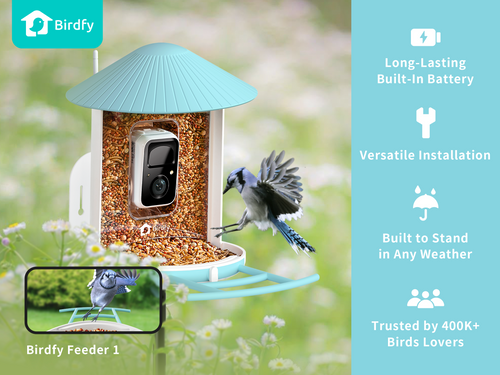 Birdfy Smart Bird Feeder