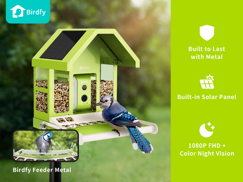 Birdfy Feeder Metal