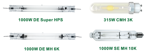 HID bulbs