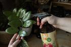 Dr.Soil Fungi Buster