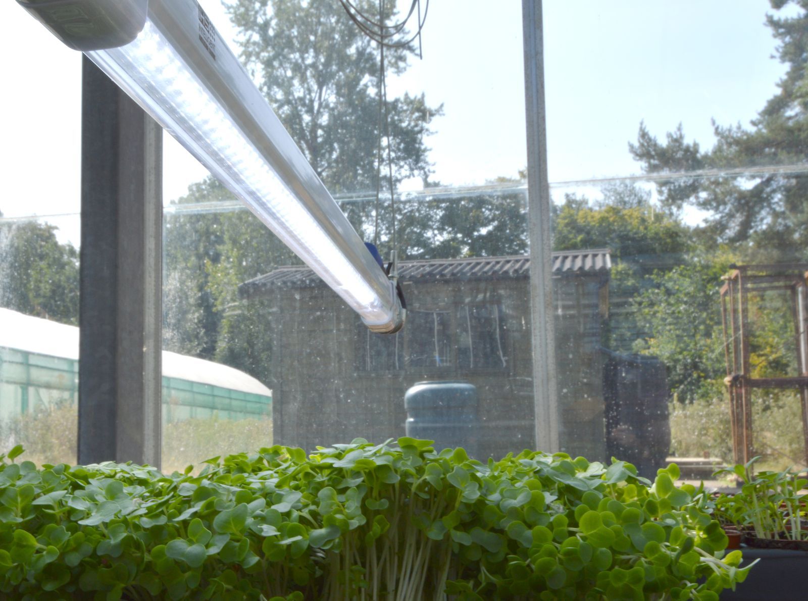 LED grow lighting - Retail ready launching at GLEE