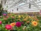 GARDEN CENTRE AND RETAIL SPECIALISTS