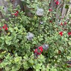 Cluster of 3 Glass garden Feature