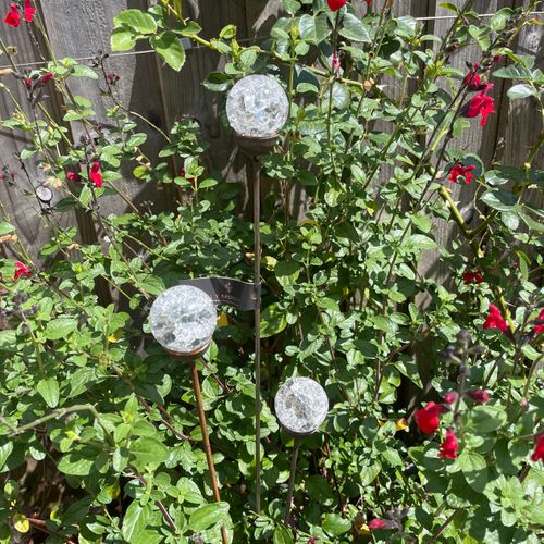 Cluster of 3 Glass garden Feature