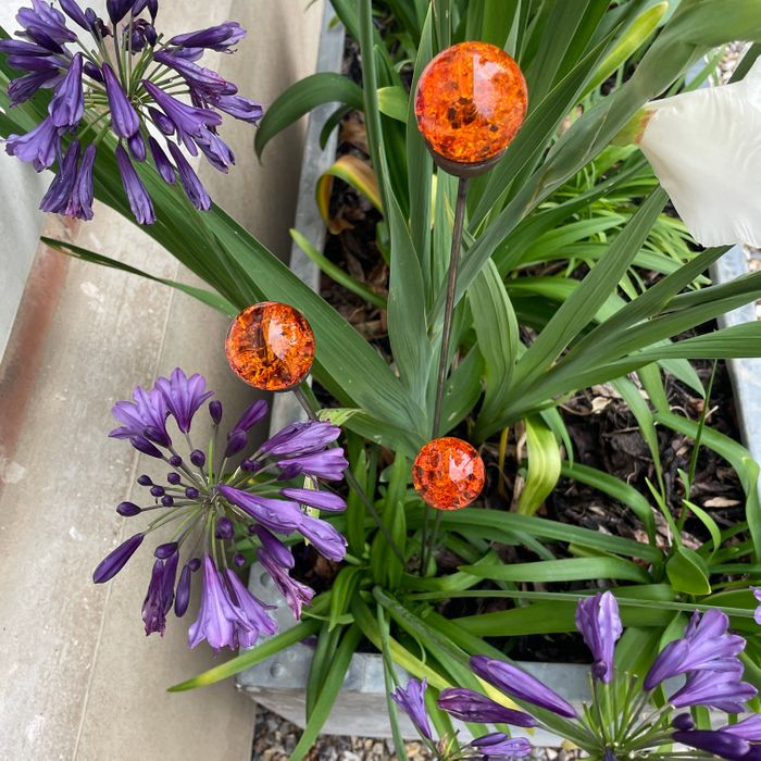 Colourful Cluster of 3 Garden Decor