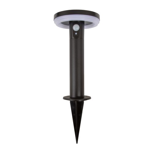 Award winning Antheia Solar Spike Light