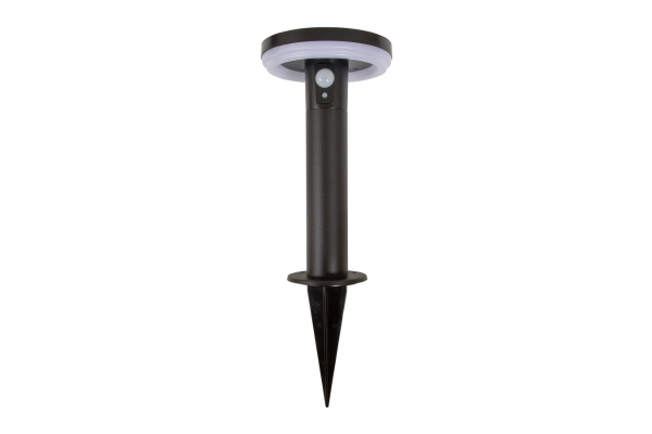 Award winning Antheia Solar Spike Light