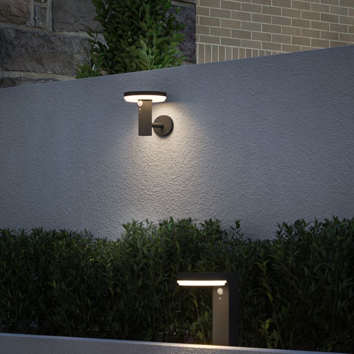 Antheia solar wall light