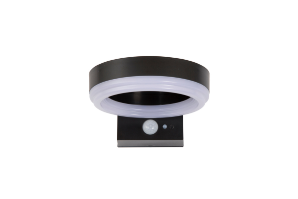 Antheia solar wall light
