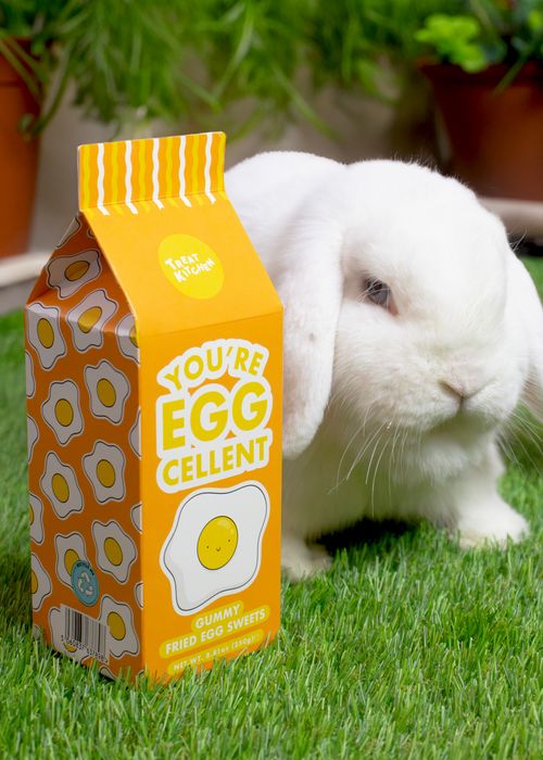 Sweet Milk Cartons