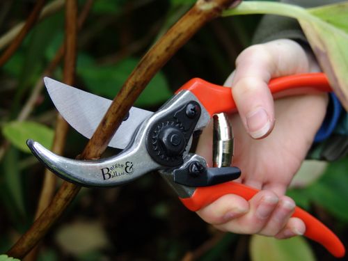 Cutting-edge innovation from Burgon & Ball