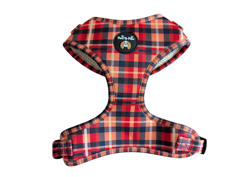 Red Tartan Harness