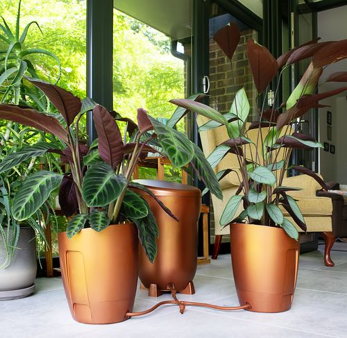 Khloris Watering System