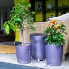 Khloris Watering System
