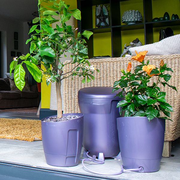 Khloris Watering System