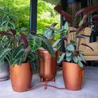 Khloris Watering System