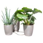 Khloris Watering System