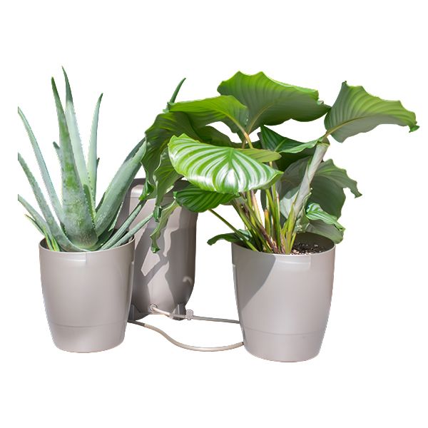 Khloris Watering System