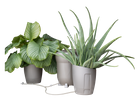 Khloris Watering System