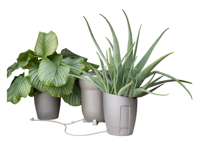 Khloris Watering System