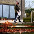 Leaf Blower with Vacuum & Mulcher