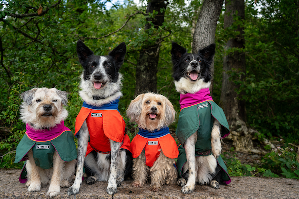Drench Waterproof Dog Jacket