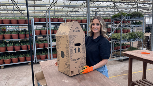 Wholesale Dropshipping of Plants