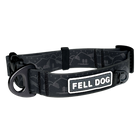 Drench Dog Collar