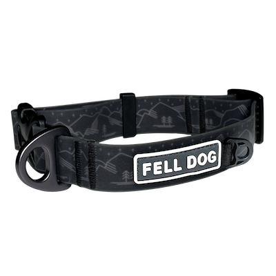 Drench Dog Collar