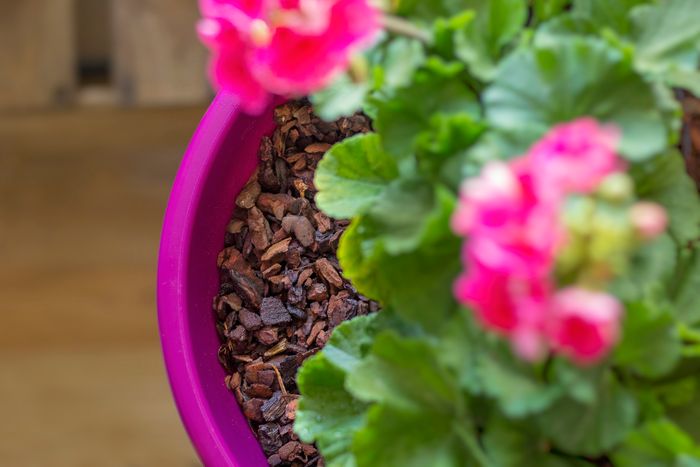 Dr.Soil Mediterranean Pine Bark