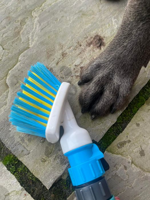 Paw Mate