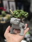 “OG” - The Original Cactusaur