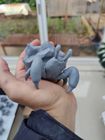 Plantasaur “Hermy”