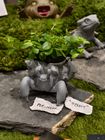 Plantasaur “Hermy”