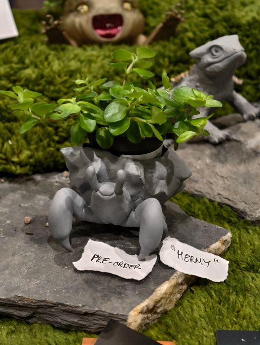 Plantasaur “Hermy”